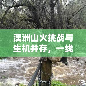 澳洲山火挑战与生机并存，一线希望照亮灾难之际