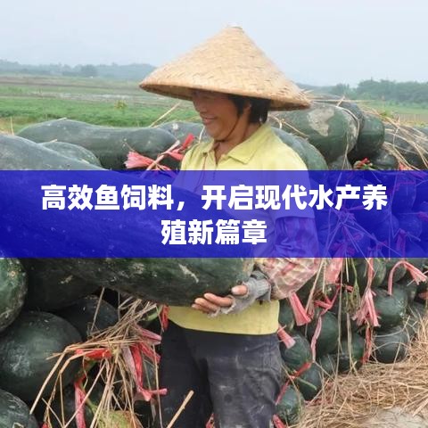 高效鱼饲料，开启现代水产养殖新篇章