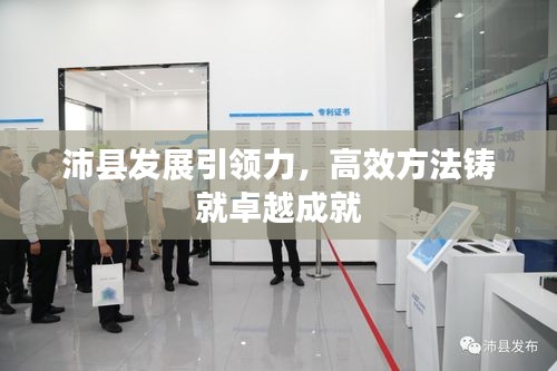 沛县发展引领力，高效方法铸就卓越成就