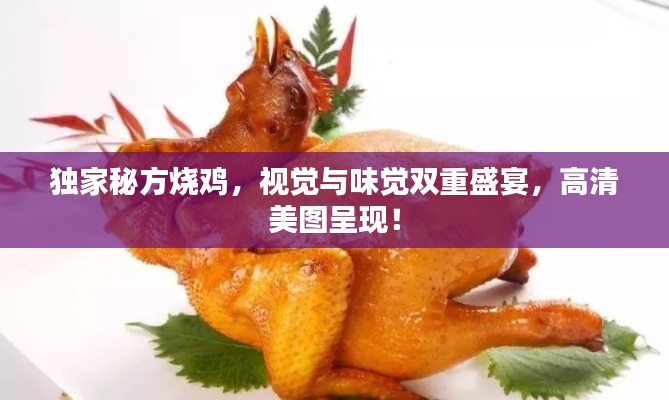 独家秘方烧鸡，视觉与味觉双重盛宴，高清美图呈现！