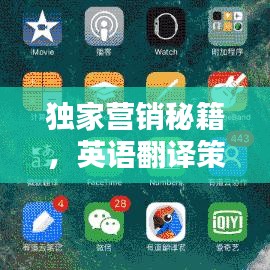 独家营销秘籍，英语翻译策略与技巧全解析