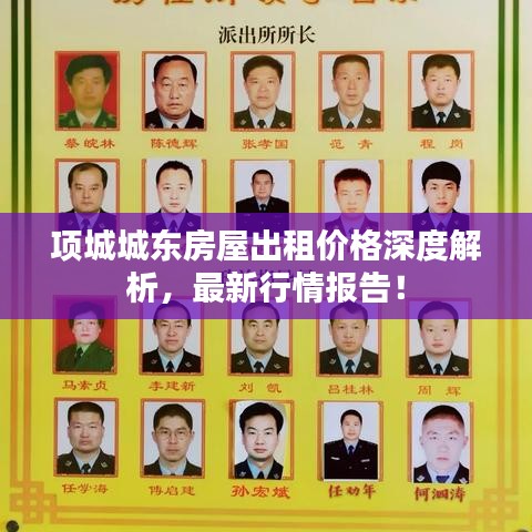 项城城东房屋出租价格深度解析，最新行情报告！
