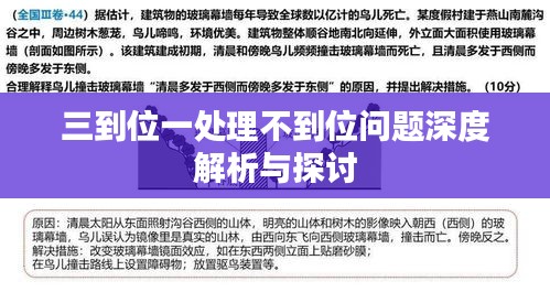 三到位一处理不到位问题深度解析与探讨