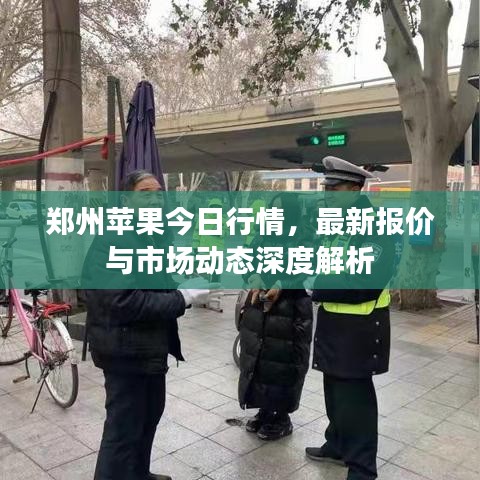 郑州苹果今日行情，最新报价与市场动态深度解析