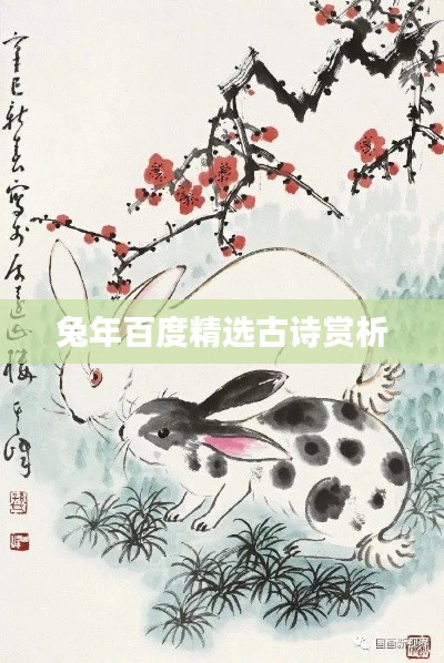 兔年百度精选古诗赏析