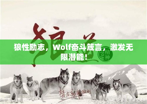 狼性励志，Wolf奋斗箴言，激发无限潜能！