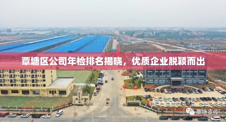 覃塘区公司年检排名揭晓，优质企业脱颖而出