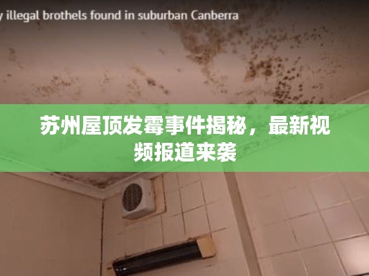 苏州屋顶发霉事件揭秘，最新视频报道来袭