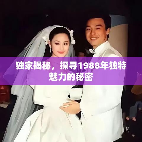 独家揭秘，探寻1988年独特魅力的秘密