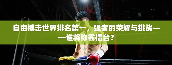 自由搏击世界排名第一，强者的荣耀与挑战——谁将称霸擂台？