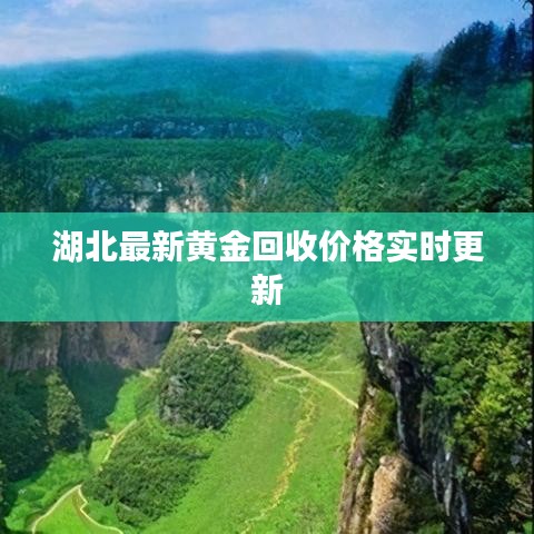 湖北最新黄金回收价格实时更新