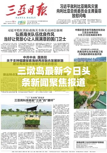 三墩岛最新今日头条新闻聚焦报道
