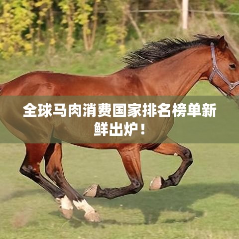 全球马肉消费国家排名榜单新鲜出炉！
