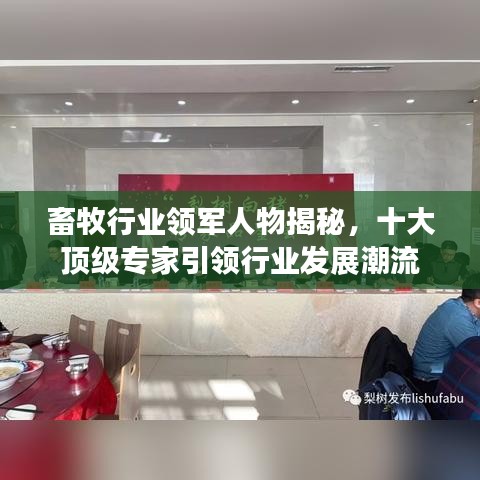 畜牧行业领军人物揭秘，十大顶级专家引领行业发展潮流