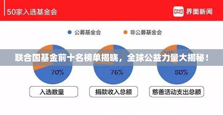联合国基金前十名榜单揭晓，全球公益力量大揭秘！