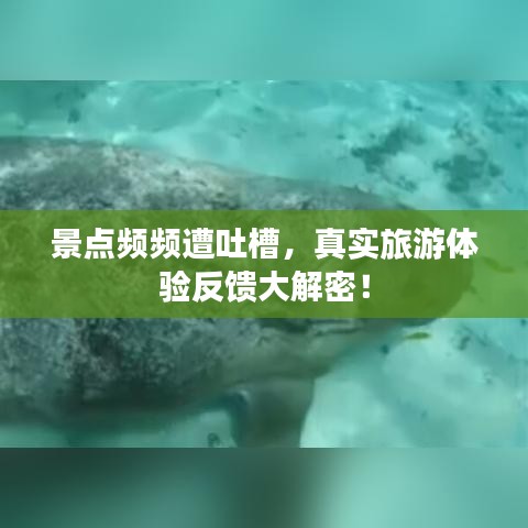 景点频频遭吐槽，真实旅游体验反馈大解密！