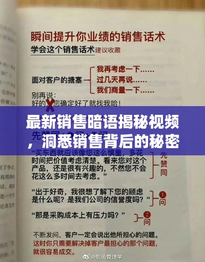 最新销售暗语揭秘视频，洞悉销售背后的秘密语言攻略大全！